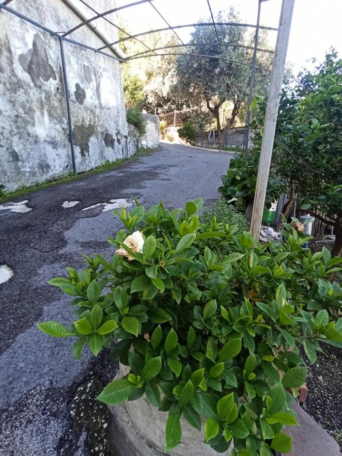 カステッランマーレ・ディ・スタービア La Terrazza Quisisana Sorrento Coastヴィラ エクステリア 写真